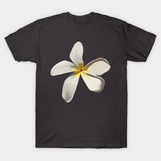 Overlooked Flora - Plumeria T-Shirt